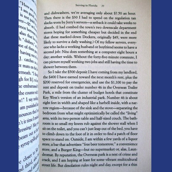 Book - Nickel and Dimed: On (Not) Getting By in America, by Barbara Ehrenreich - Picture 10 of 14